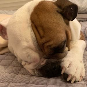 Meet your Posher, Lyra